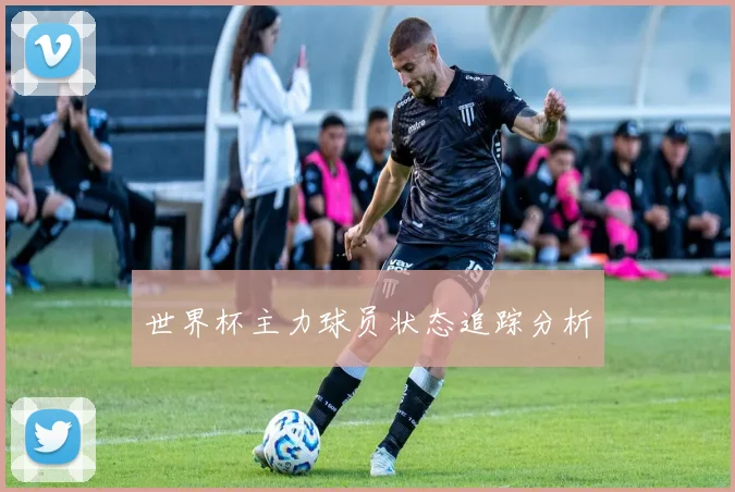 世界杯主力球员状态追踪分析