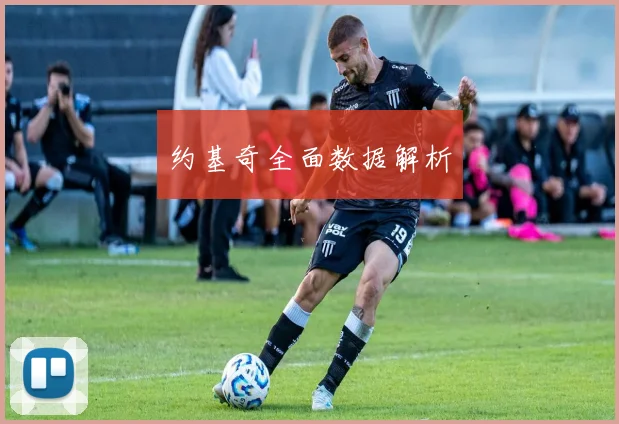 约基奇全面数据解析